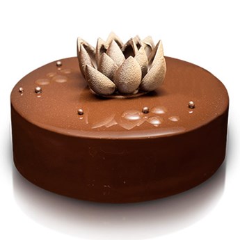 Chocolate Round Cake