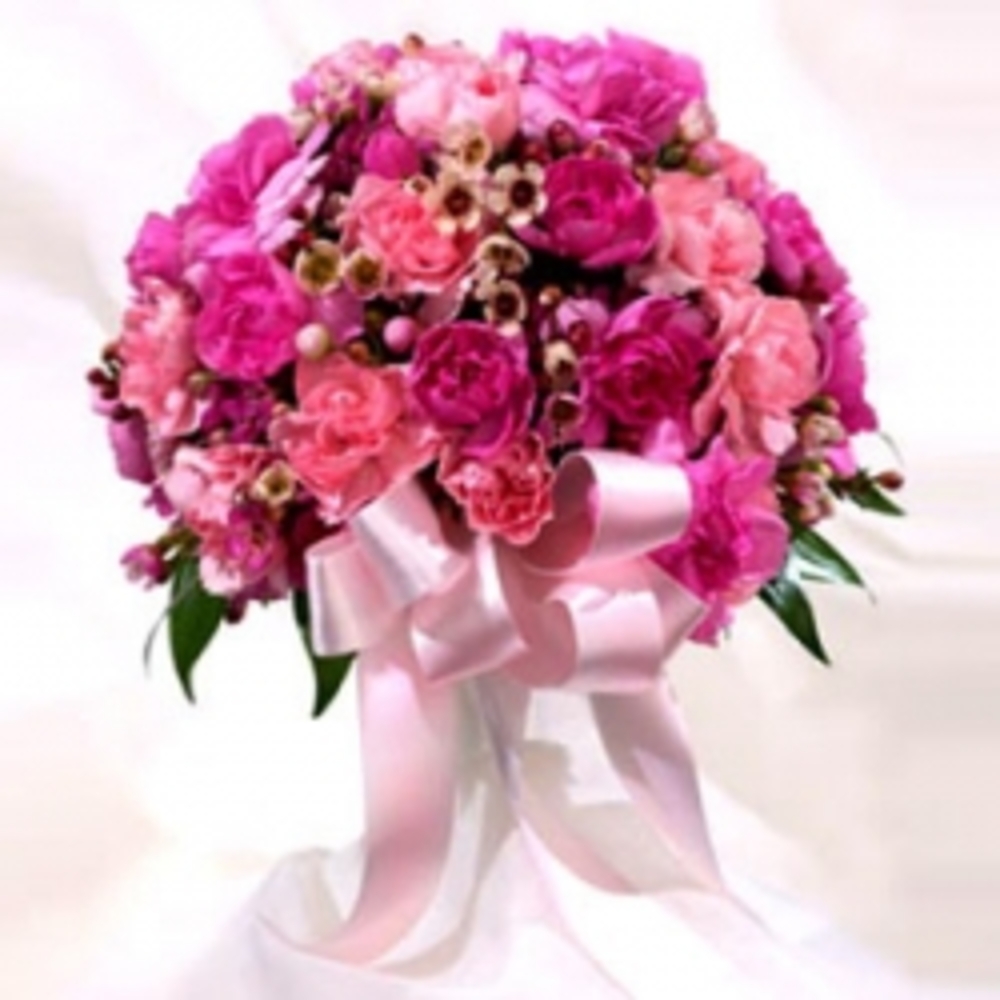 Winter Carnations