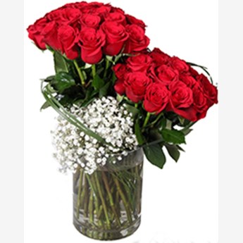 Classic Red Rose Vase