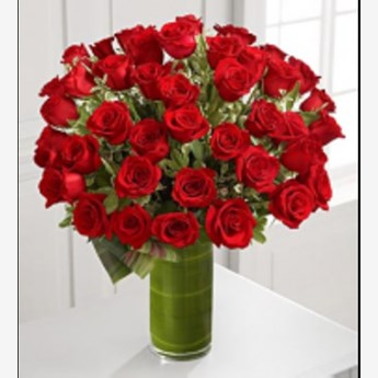Timeless Roses