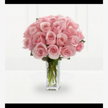 Pink Titanic Roses