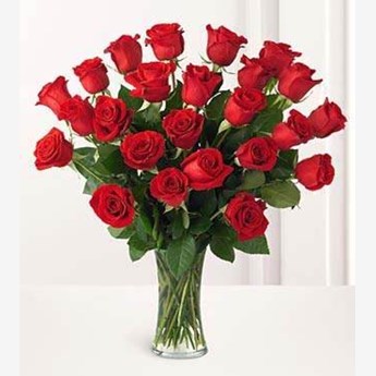 24 Red Roses In Vase