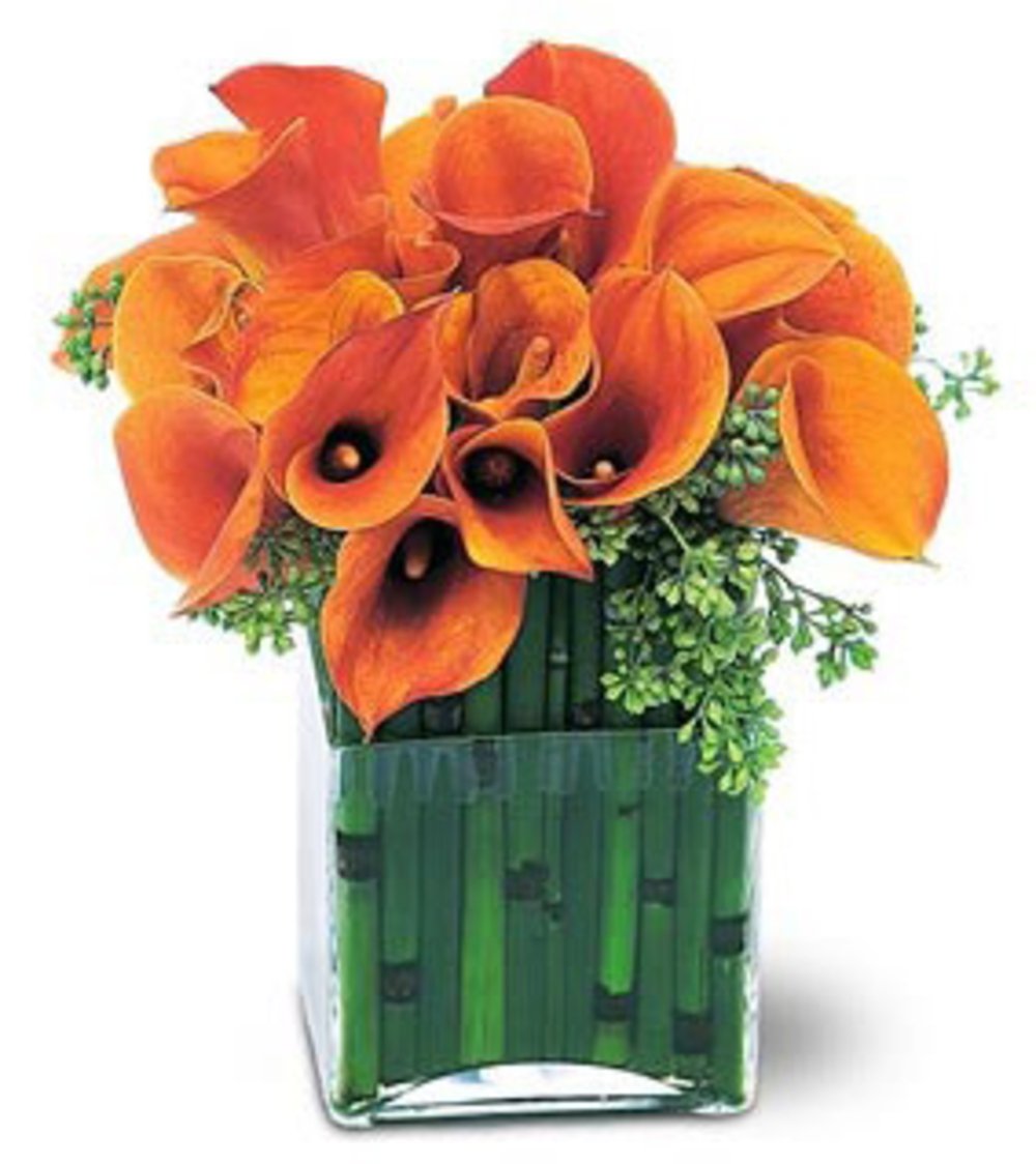 Vase with 20 Stems Orange Cala Lilies.