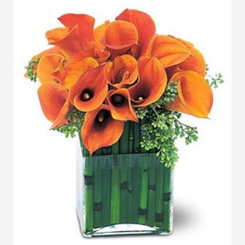 Vase with 20 Stems Orange Cala Lilies.