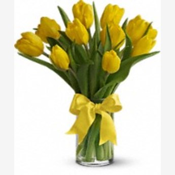 Sunny Yellow Tulips