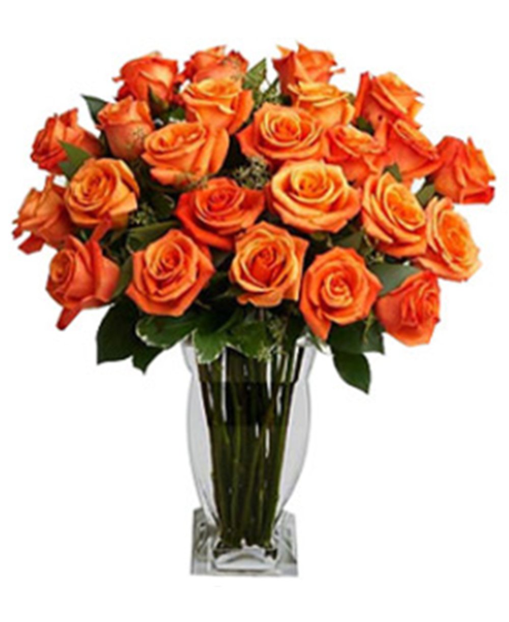 Opulent Orange Roses