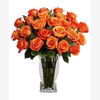 Opulent Orange Roses