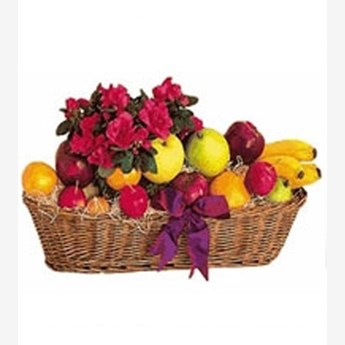 beautiful Fruit Arrangement