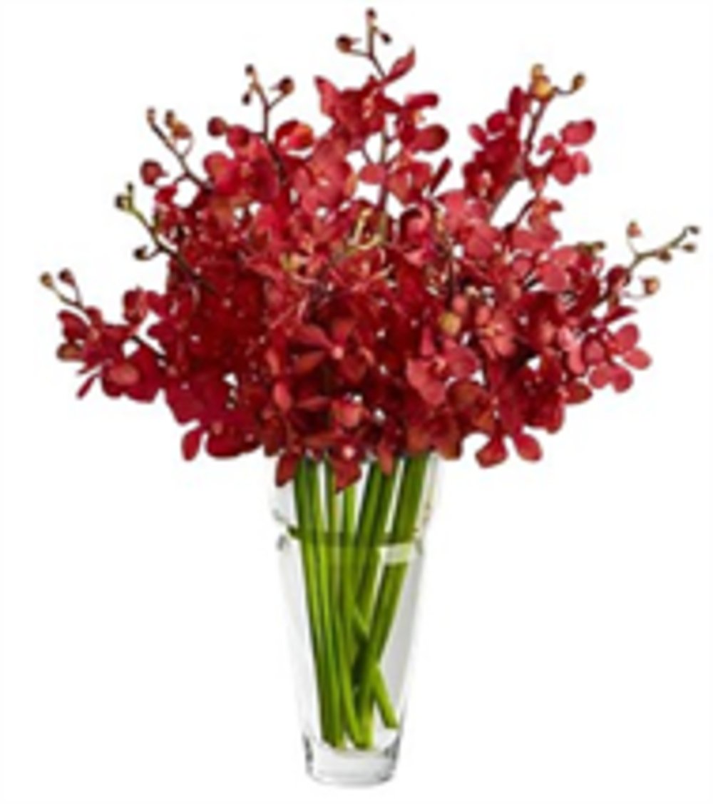 Red Mokara Orchids