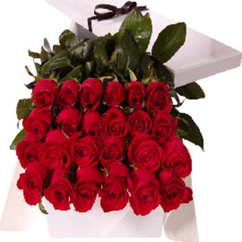 Bunch with 24 Red Roses