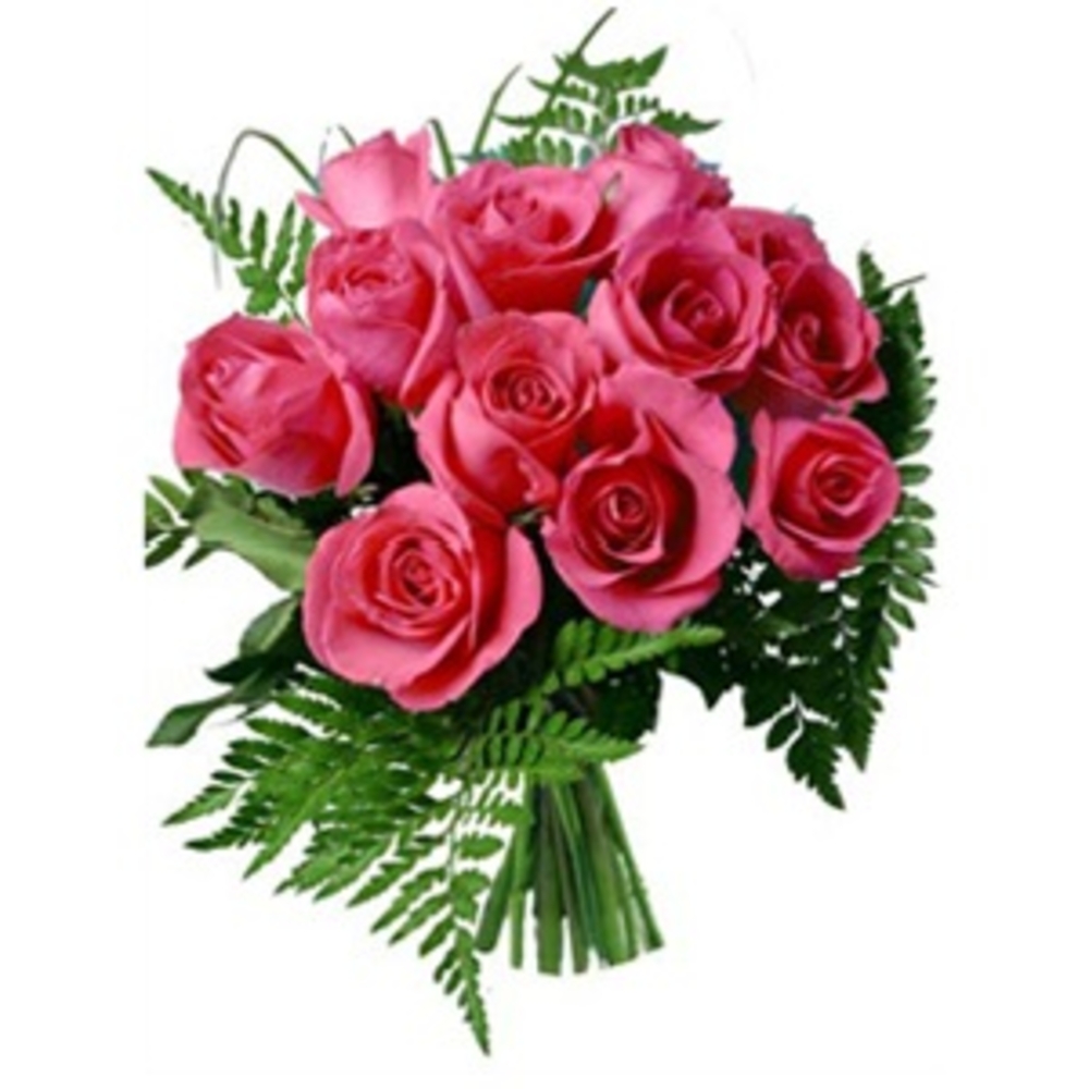 12 Pink Roses