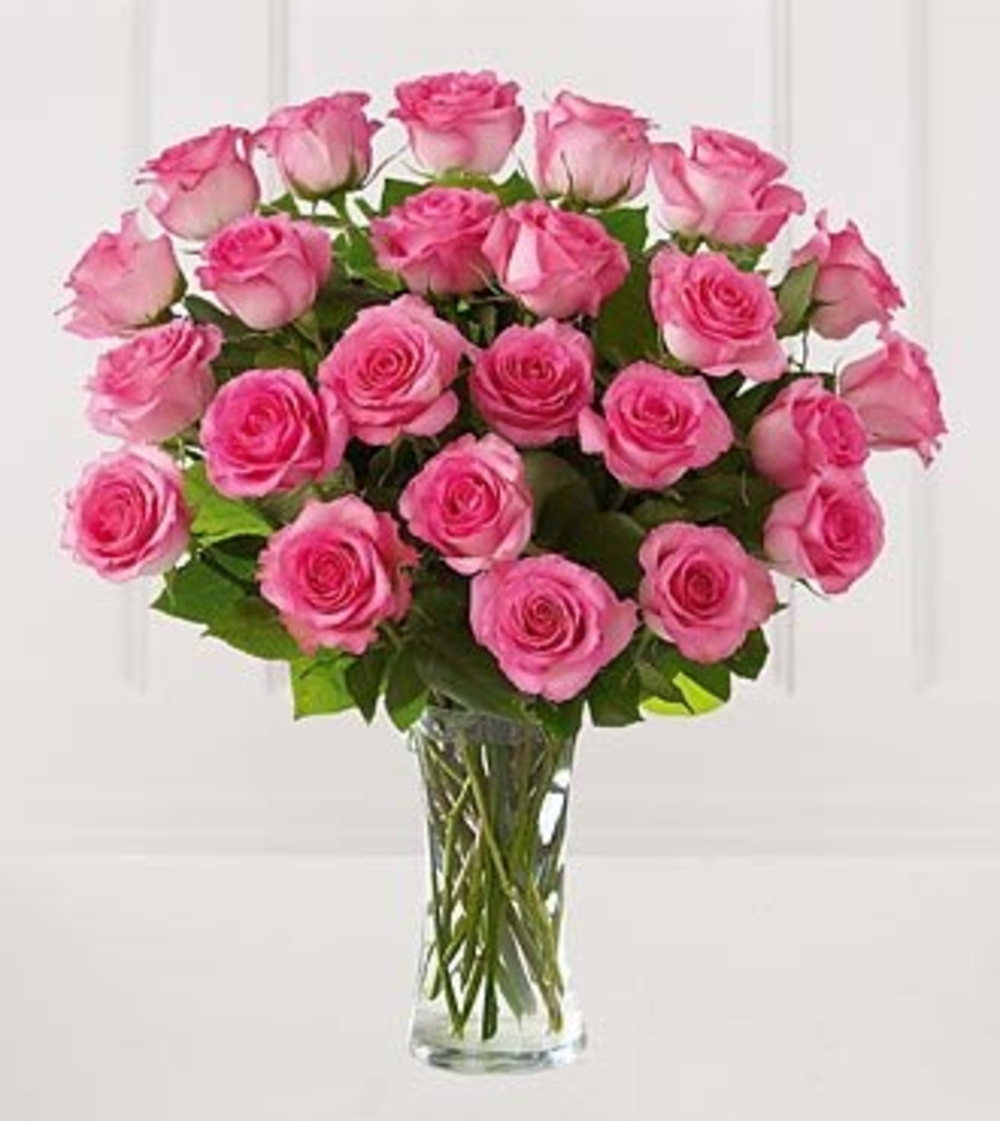 24 Pink Roses