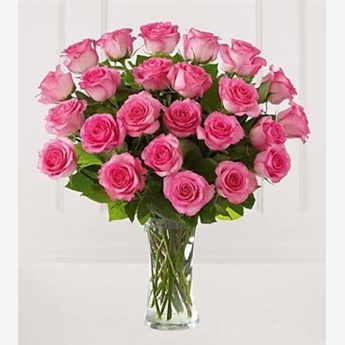 24 Pink Roses