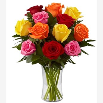 Mixed Roses