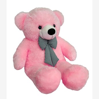 3 Feet Pink Teddy
