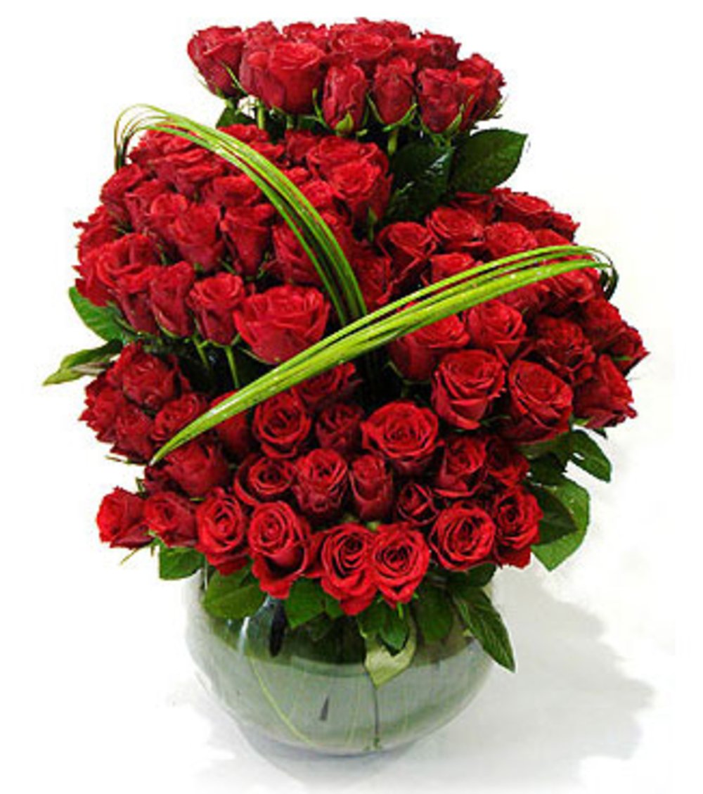 Ravishing 100 Red Roses Arrangement