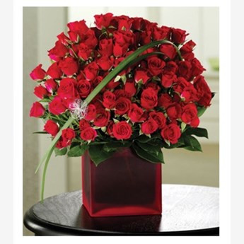 Roses and Rapture