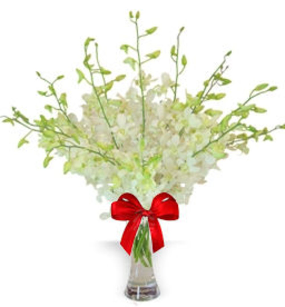 Vase with 20 White Orchids