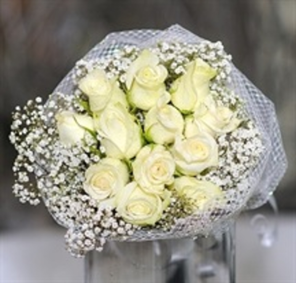 12 White Roses