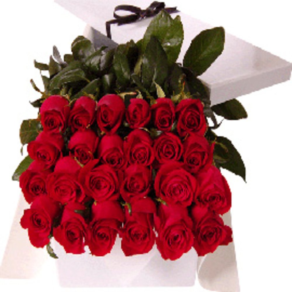 24 Red Roses