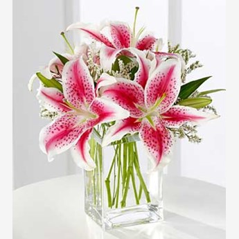 Admirable Pretty Lilies