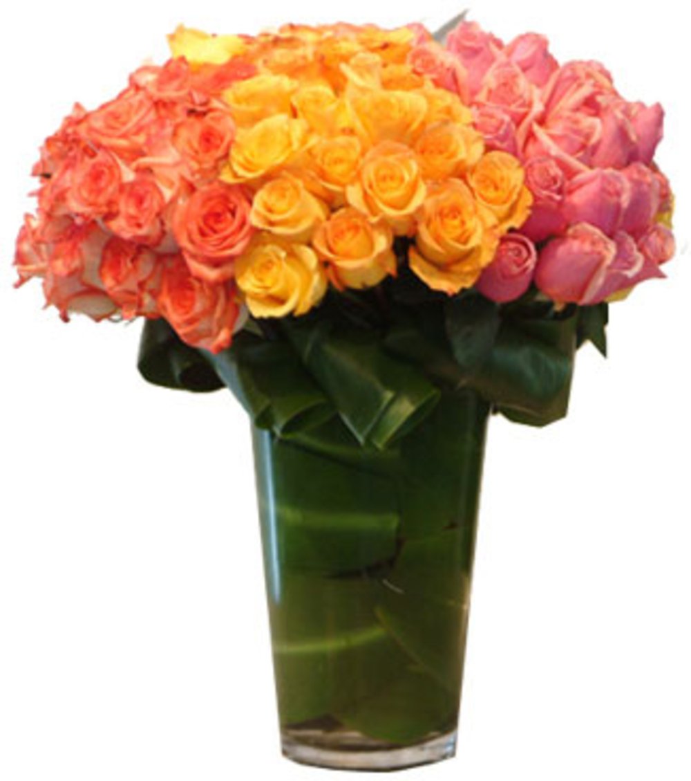 Orange , Yellow & Pink Roses