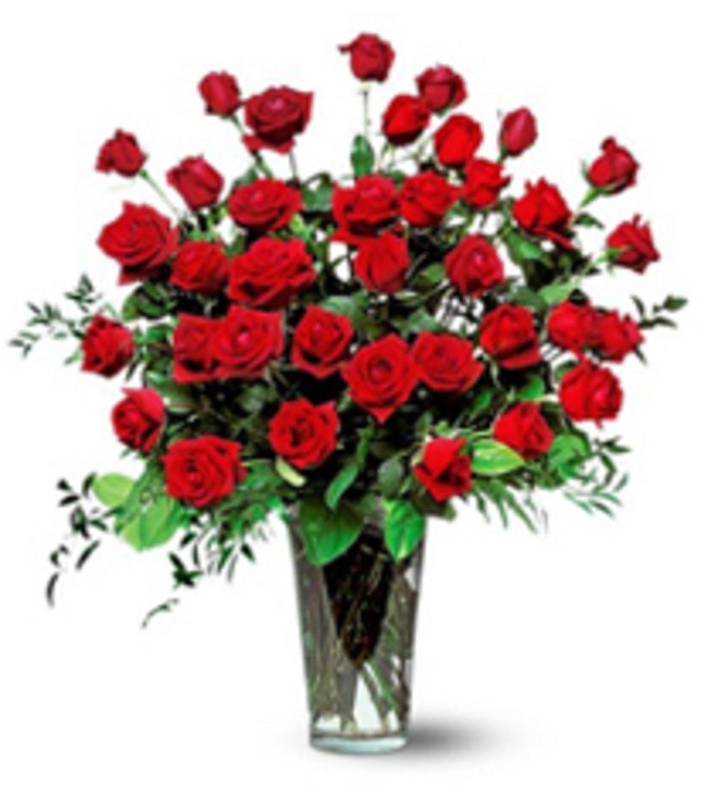 Three-Dozen-Red-Roses