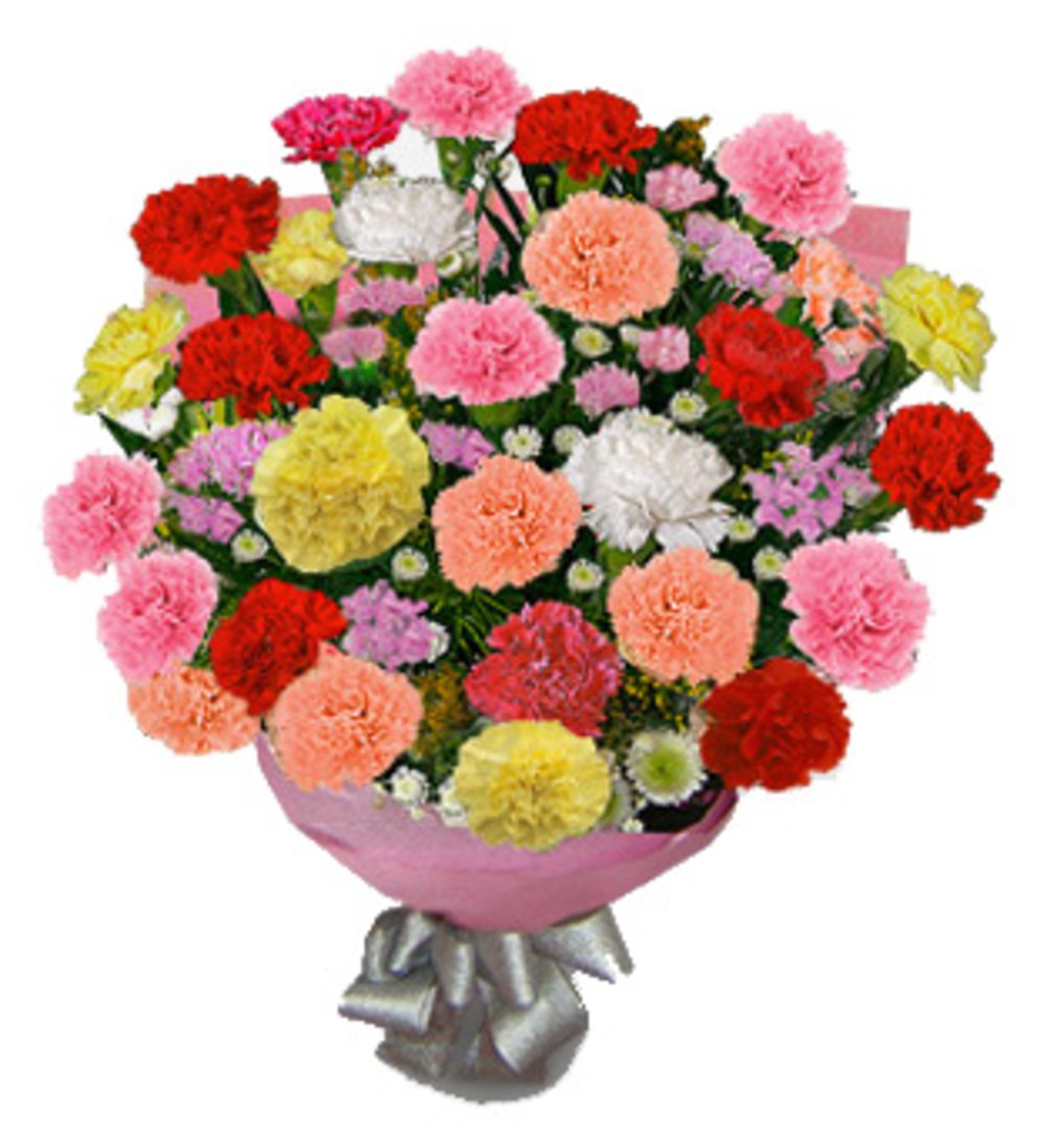 Mixed Carnations