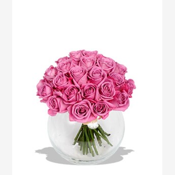 Impressive Pink flower Garden