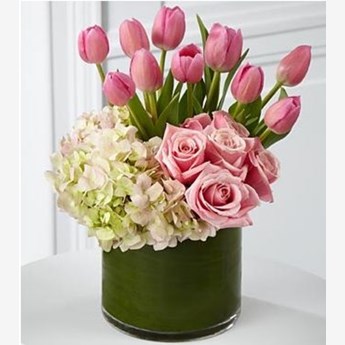 Beautiful Pink Tulips
