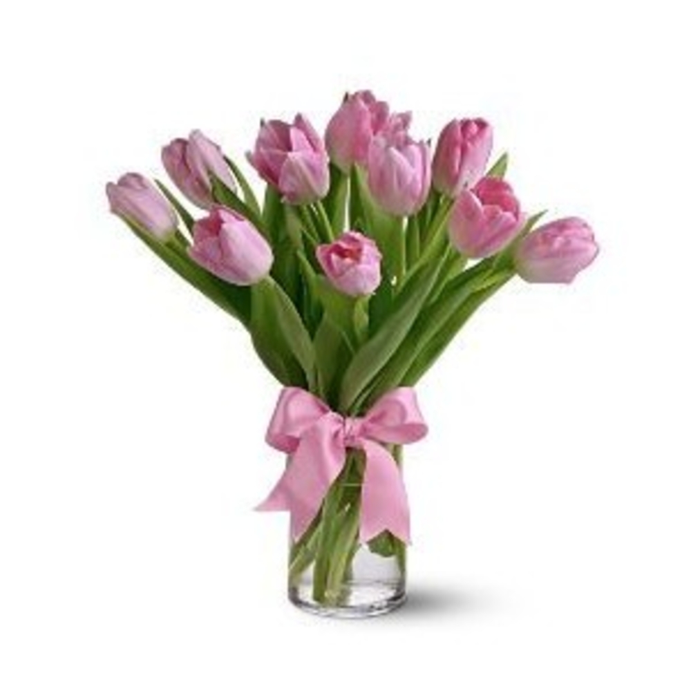 soft pink tulips