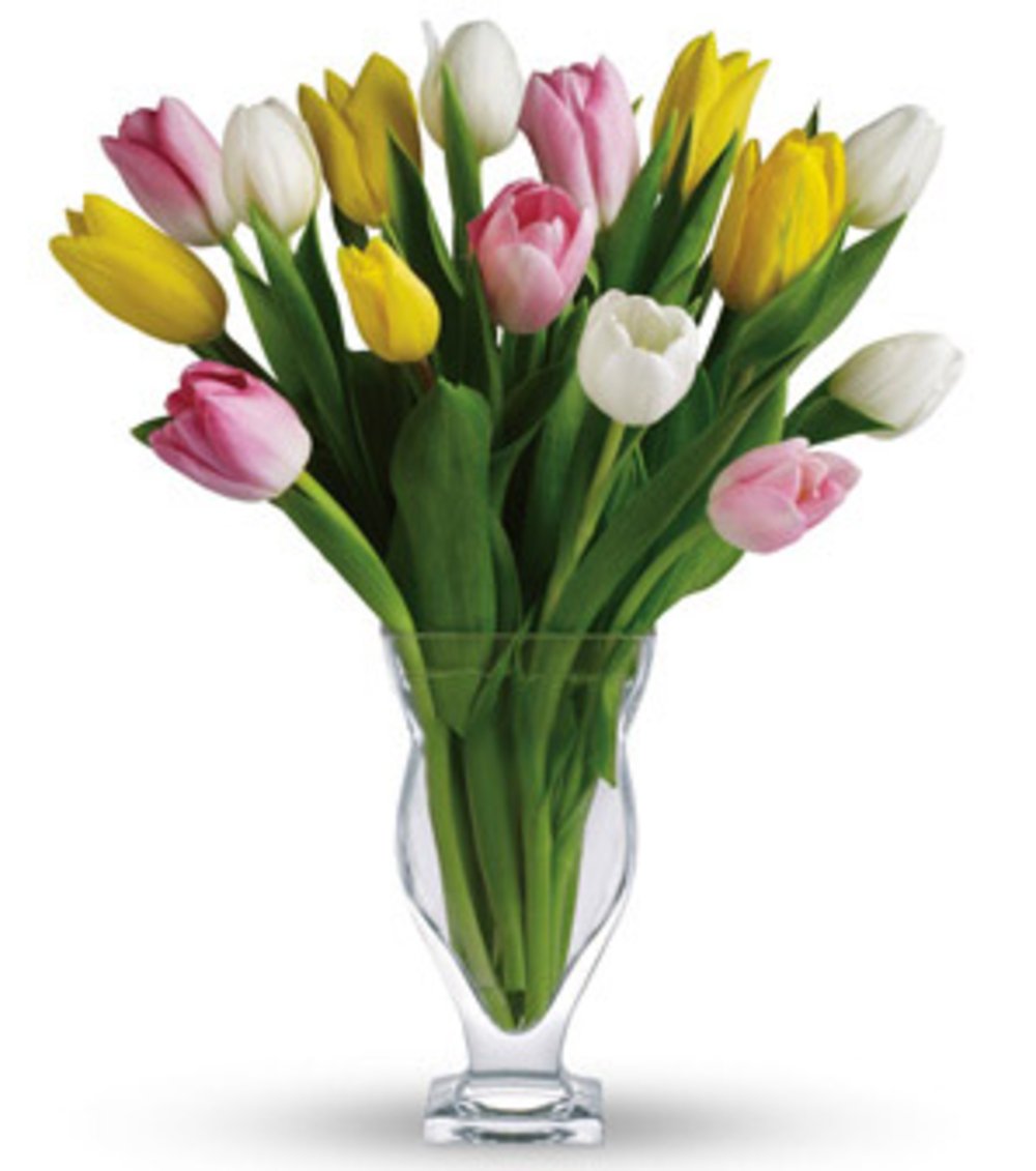 Vase with 20 Stems of Mixed Coloured Tulips.
